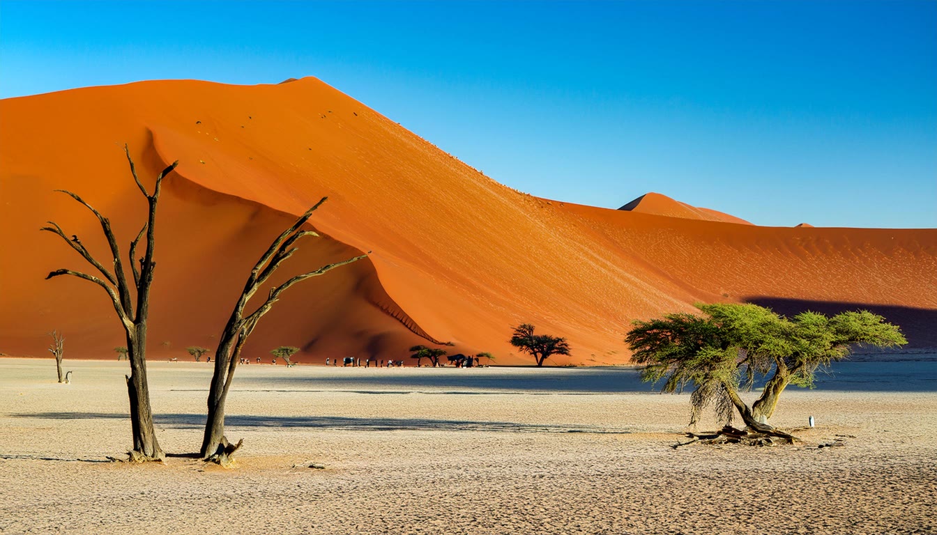 Top 10 Most Beautiful Desert Landscapes