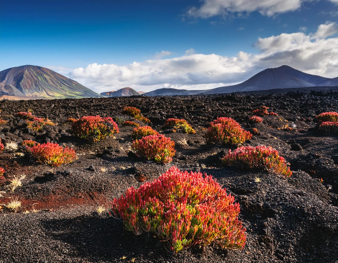 Top 5 Most Unique Volcanic Landscapes