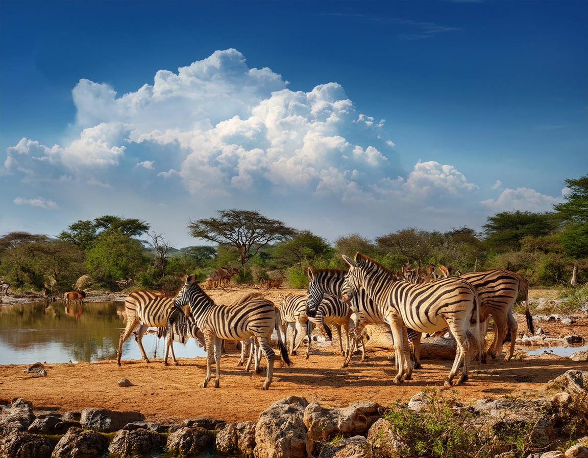 Top 10 Most Unusual Wildlife Sanctuaries